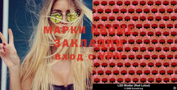 хмурый Алзамай